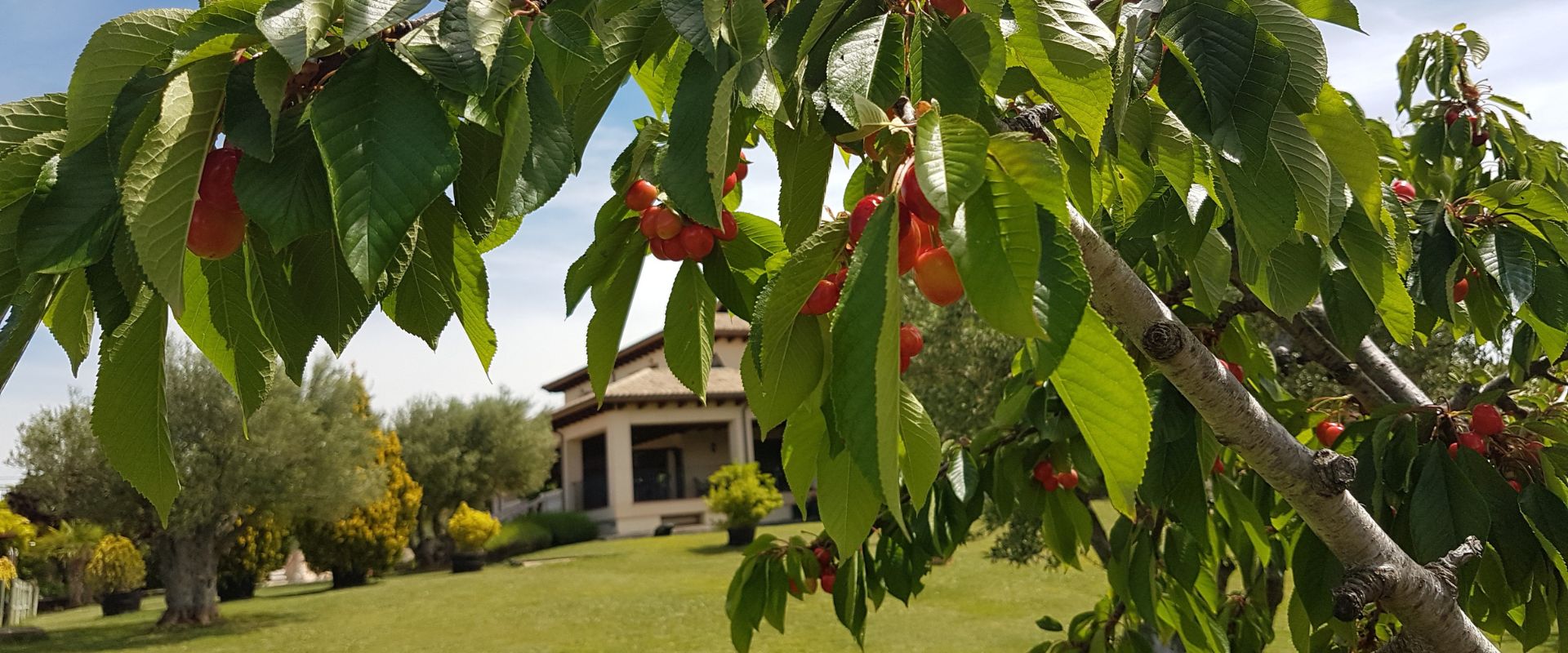 Hotel con jardín y piscina